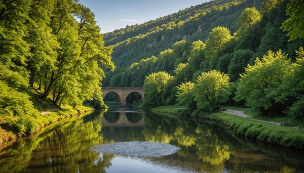 Camping du Letty : Le confort de vacances avec sanitaire privé sur emplacement en Bretagne